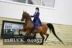 22BUCK_04053 proof