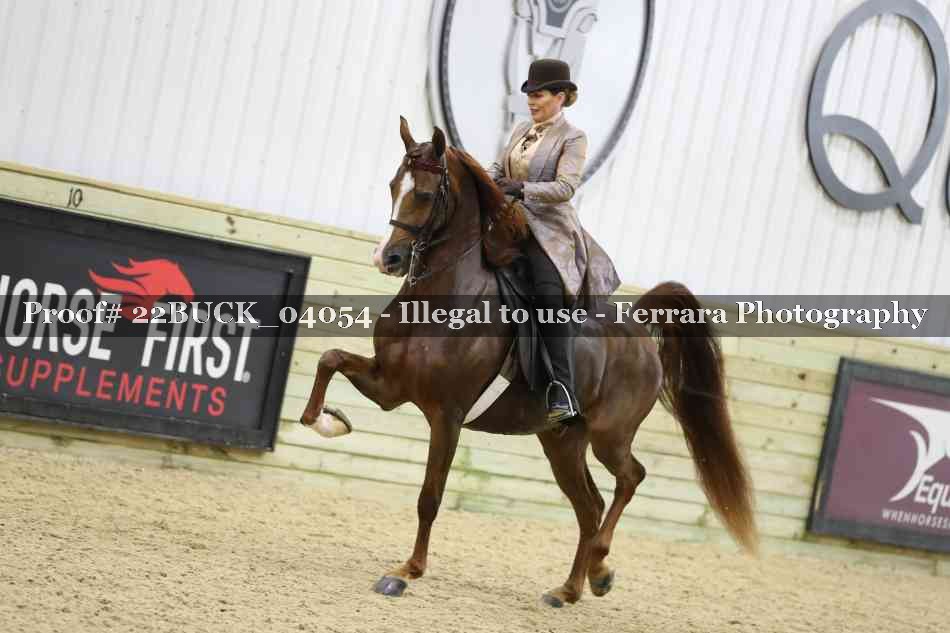 Proof 22BUCK_04054