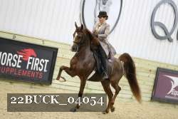 22BUCK_04054 proof