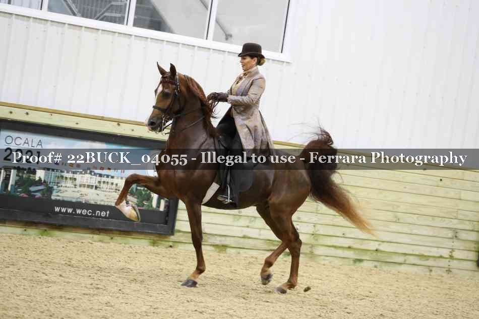 Proof 22BUCK_04055