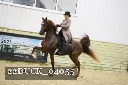 22BUCK_04055 proof