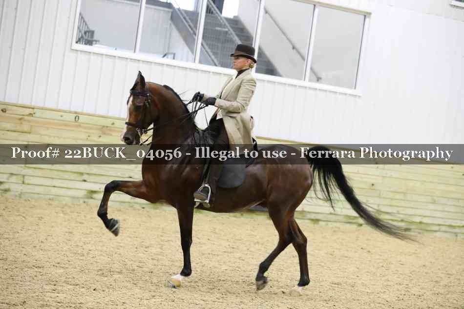 Proof 22BUCK_04056