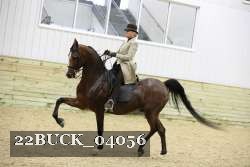 22BUCK_04056 proof