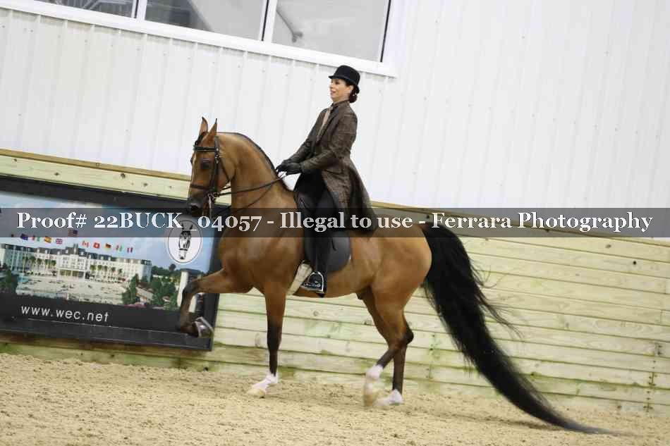 Proof 22BUCK_04057