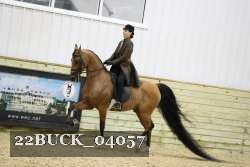 22BUCK_04057 proof