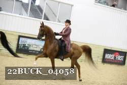 22BUCK_04058 proof