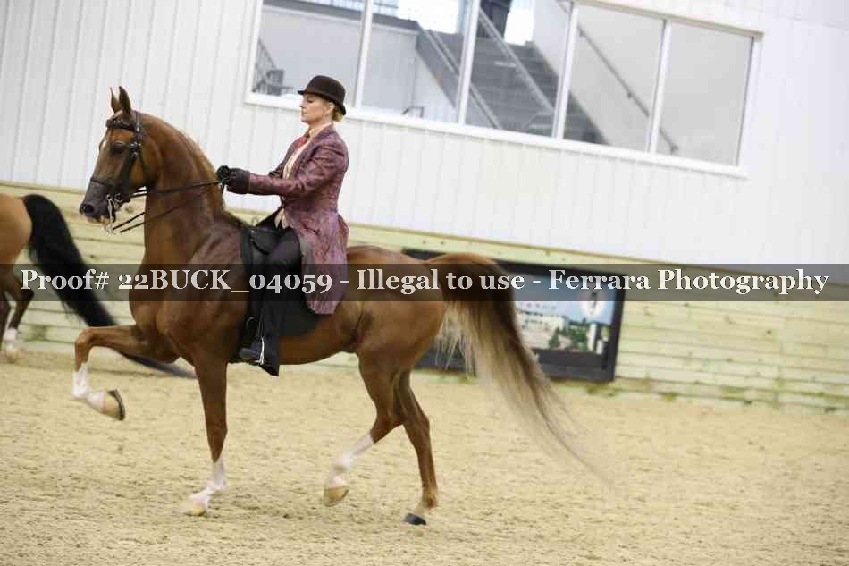 Proof 22BUCK_04059