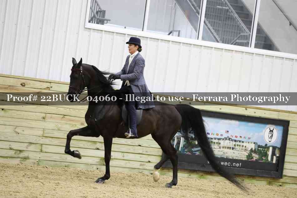 Proof 22BUCK_04060