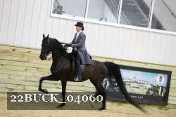 22BUCK_04060 proof
