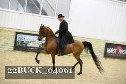 22BUCK_04061 proof