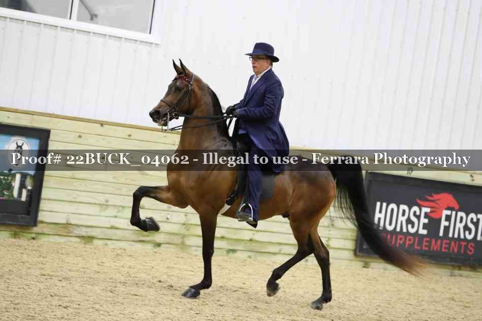 Proof 22BUCK_04062