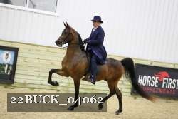 22BUCK_04062 proof