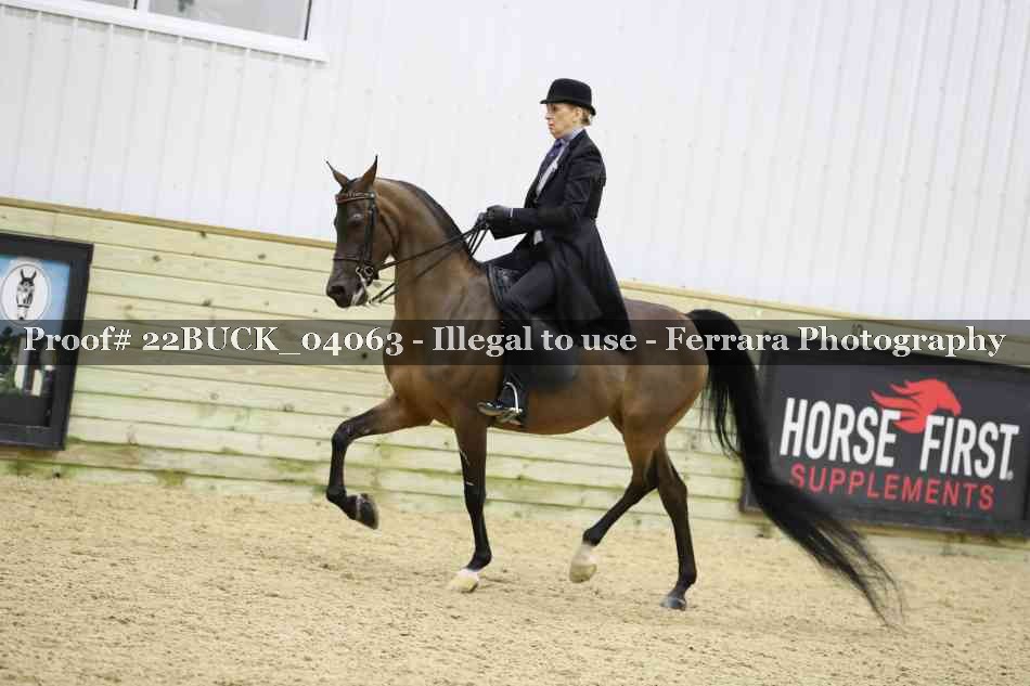 Proof 22BUCK_04063
