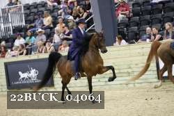 22BUCK_04064 proof