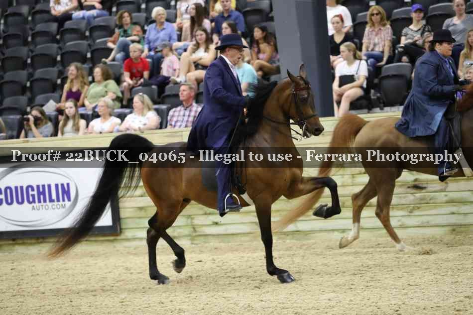 Proof 22BUCK_04065