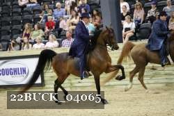 22BUCK_04065 proof