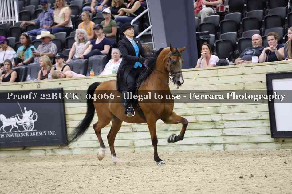 Proof 22BUCK_04066