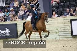 22BUCK_04066 proof