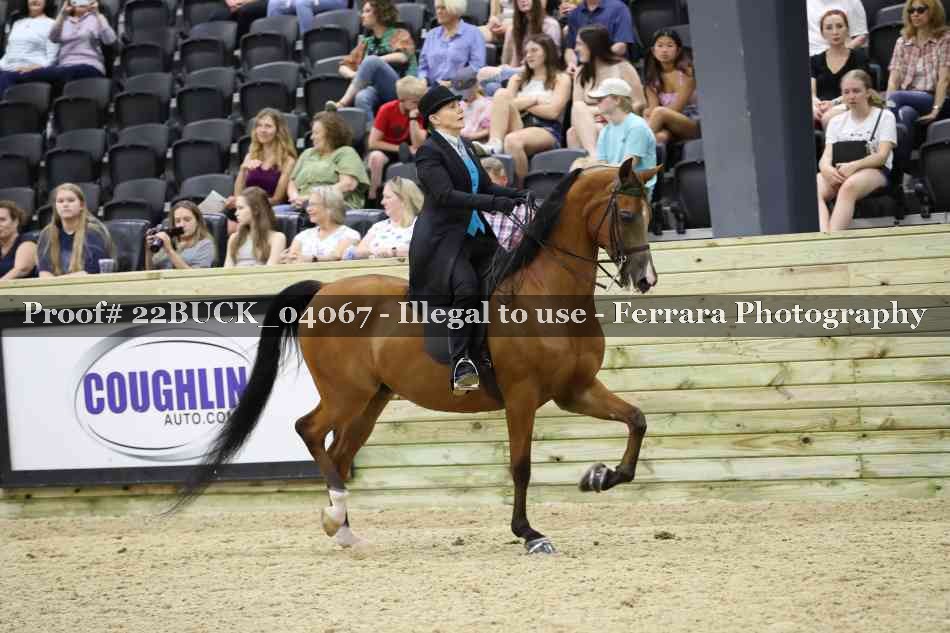Proof 22BUCK_04067