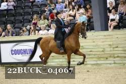 22BUCK_04067 proof