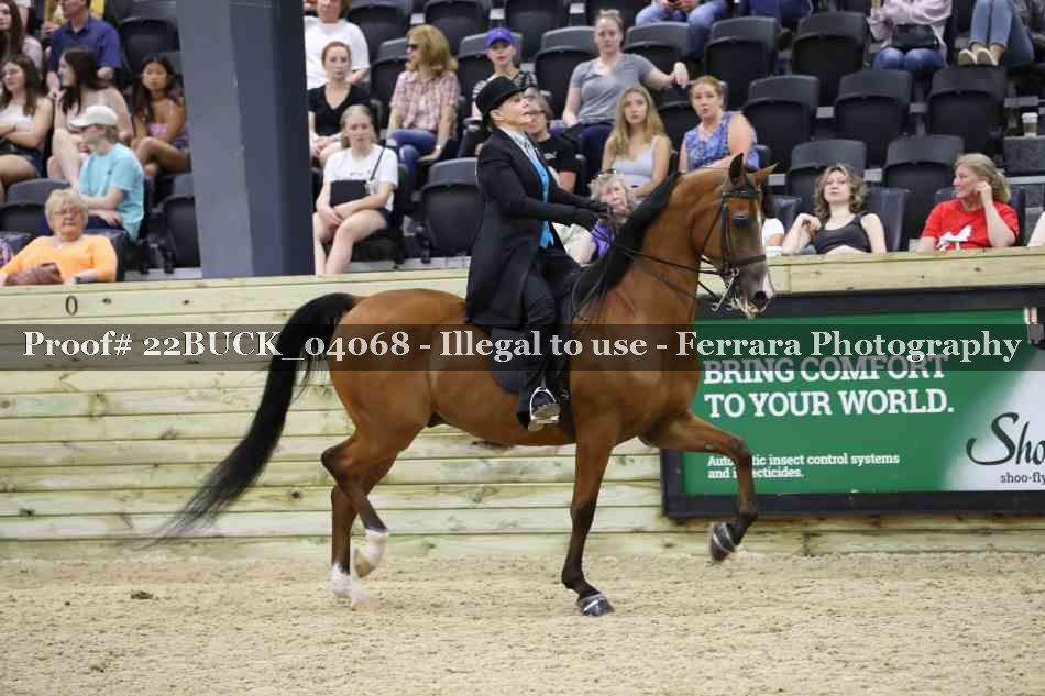 Proof 22BUCK_04068
