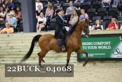 22BUCK_04068 proof