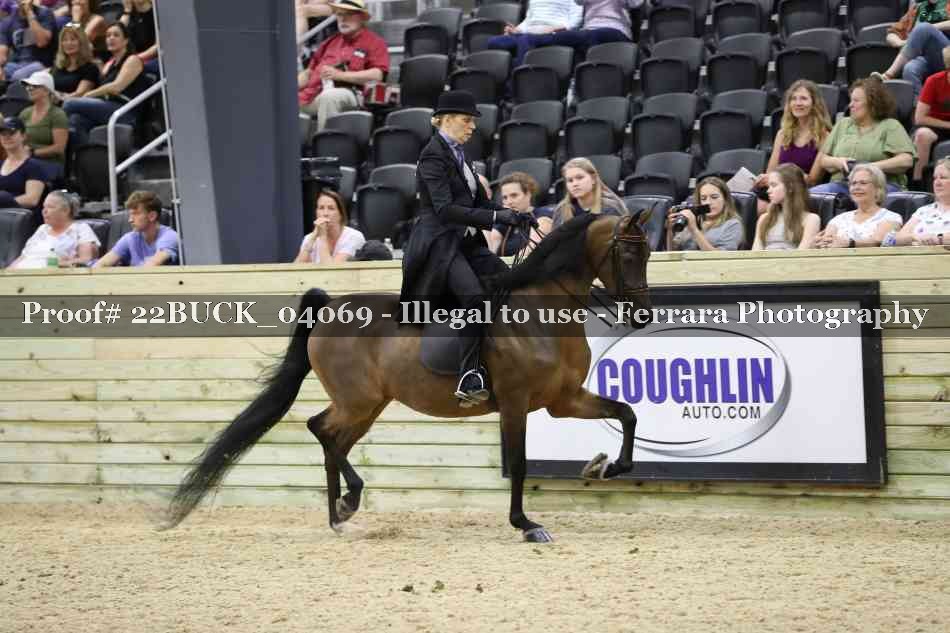 Proof 22BUCK_04069