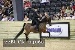 22BUCK_04069 proof