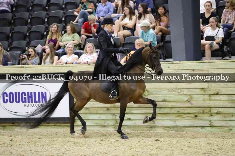 Proof 22BUCK_04070