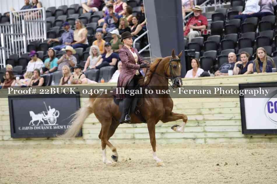 Proof 22BUCK_04071