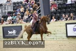 22BUCK_04071 proof