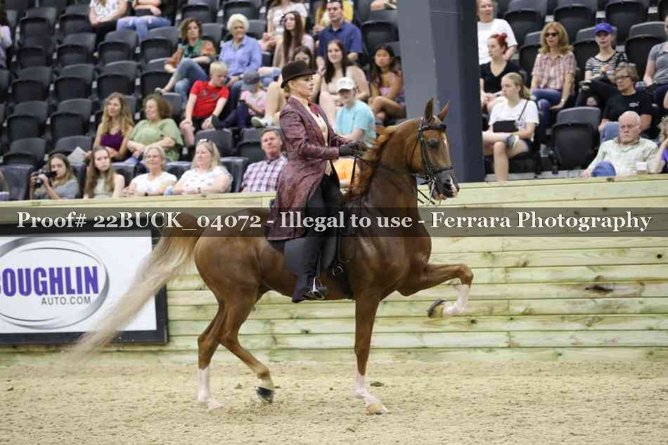Proof 22BUCK_04072