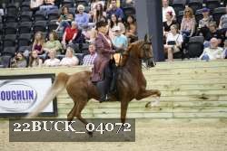 22BUCK_04072 proof