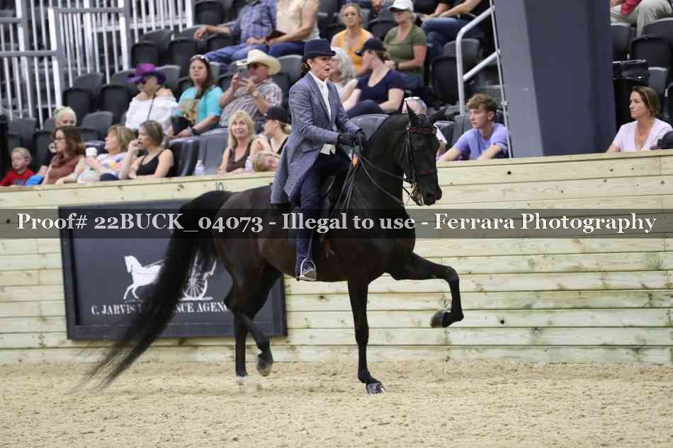 Proof 22BUCK_04073