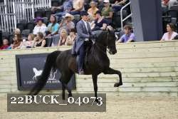 22BUCK_04073 proof
