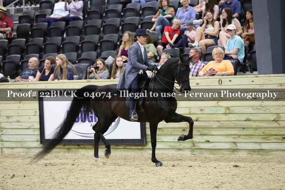Proof 22BUCK_04074