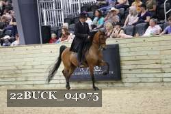 22BUCK_04075 proof
