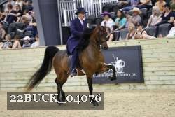 22BUCK_04076 proof