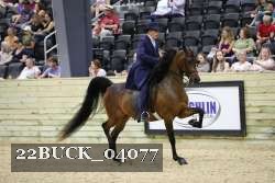 22BUCK_04077 proof