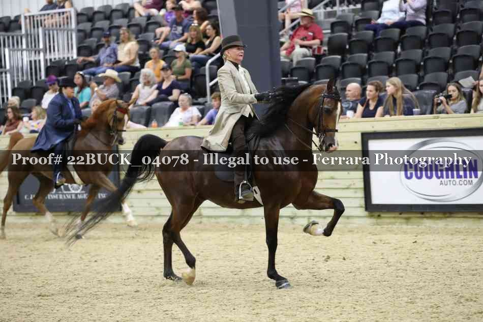 Proof 22BUCK_04078