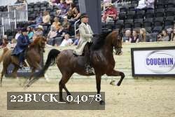 22BUCK_04078 proof