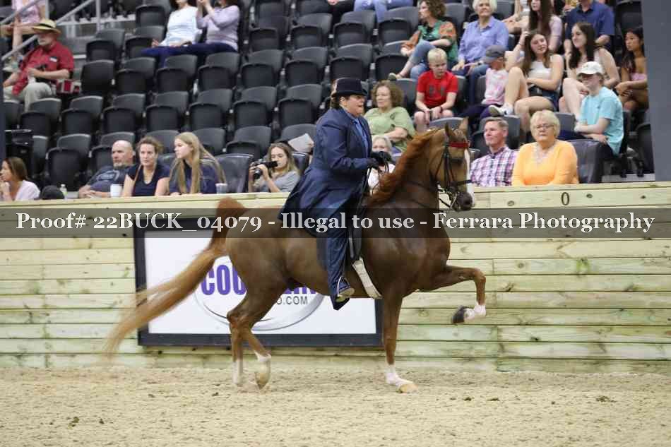 Proof 22BUCK_04079