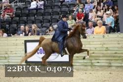 22BUCK_04079 proof