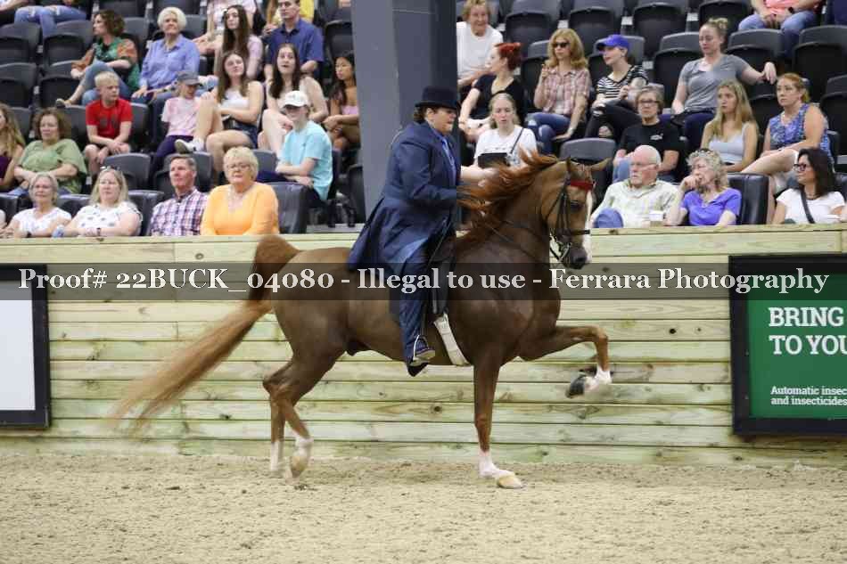 Proof 22BUCK_04080