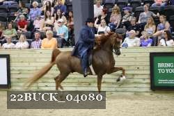22BUCK_04080 proof