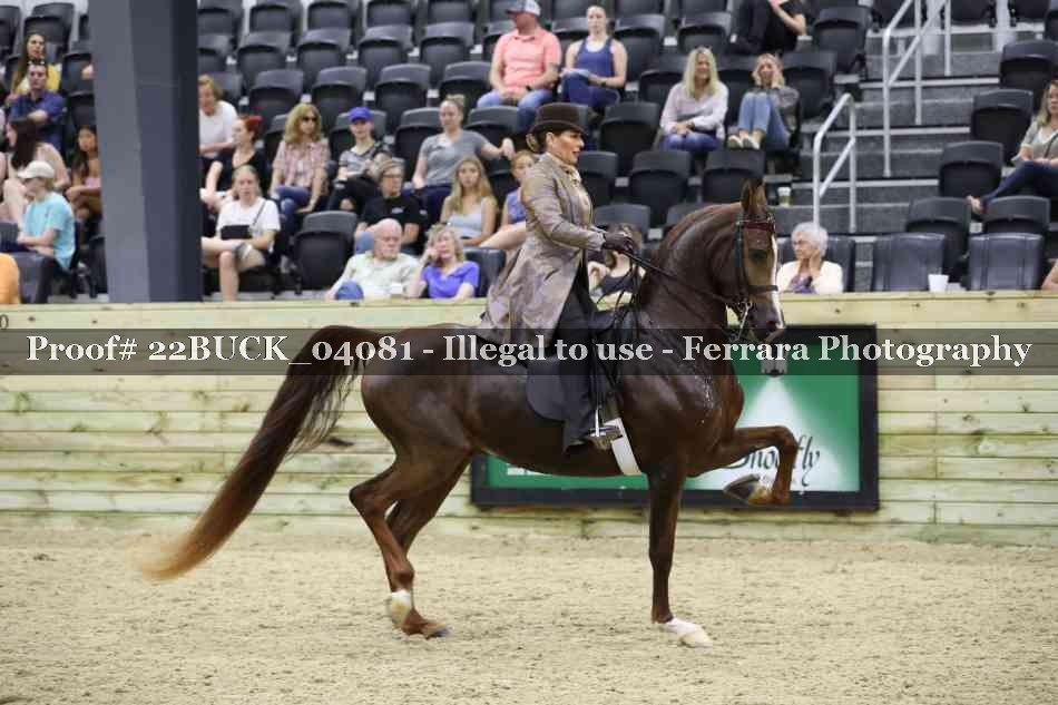 Proof 22BUCK_04081