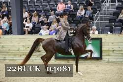 22BUCK_04081 proof
