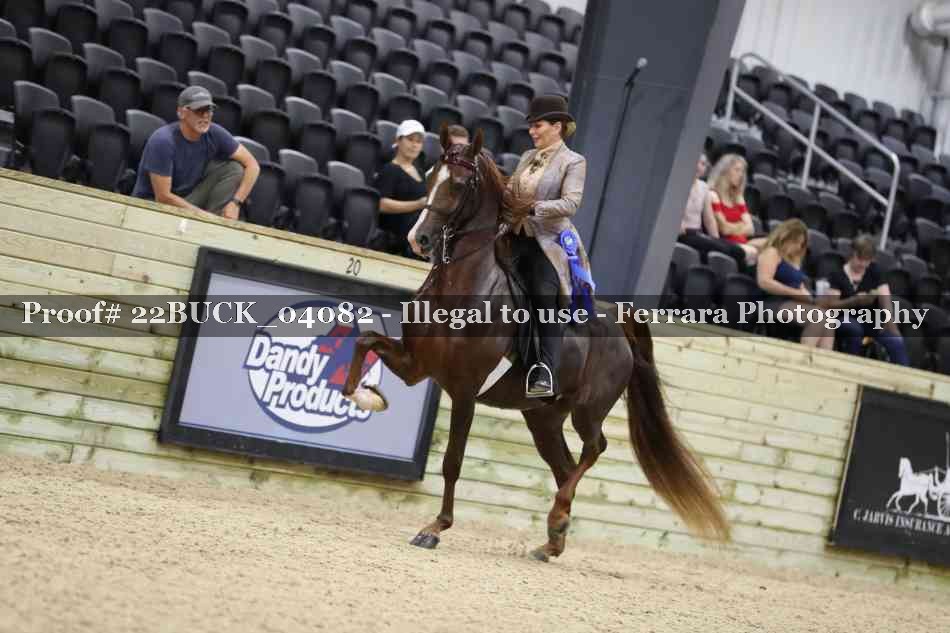 Proof 22BUCK_04082