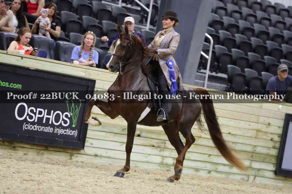 Proof 22BUCK_04083