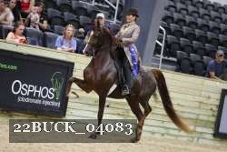 22BUCK_04083 proof